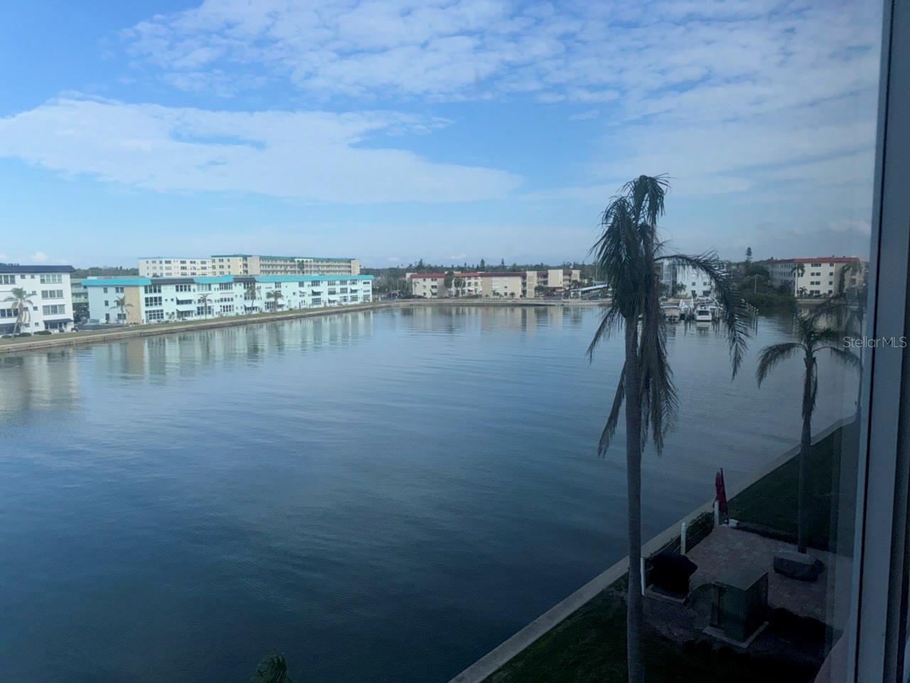 Photo #11