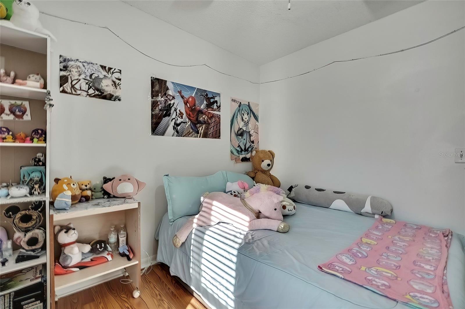 Photo #13