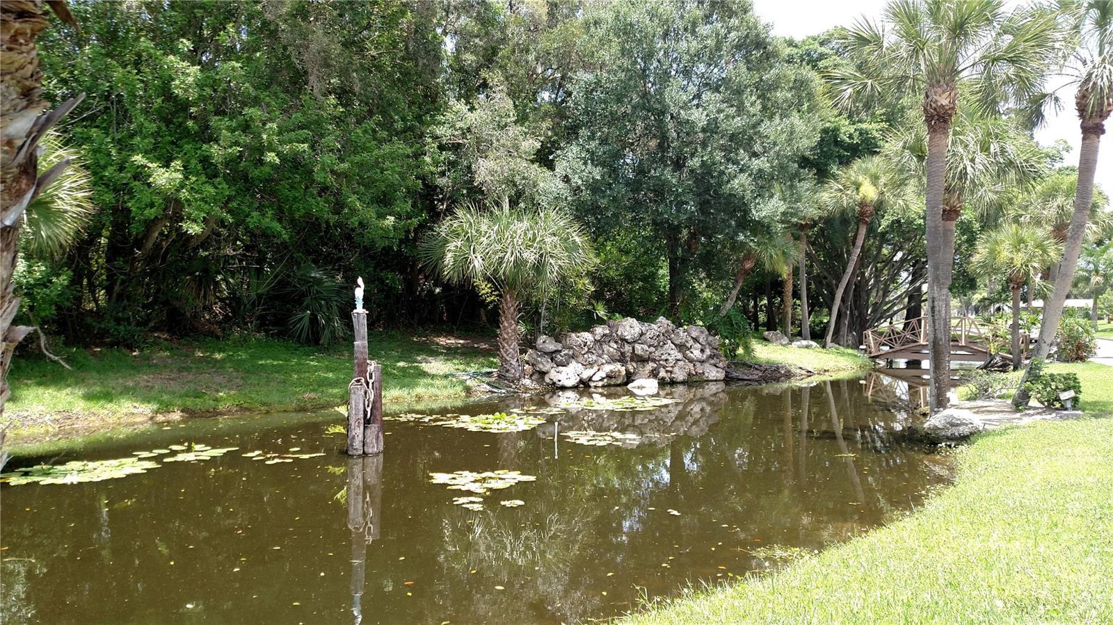 Photo #48