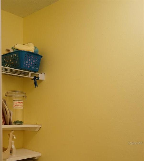 Photo #23