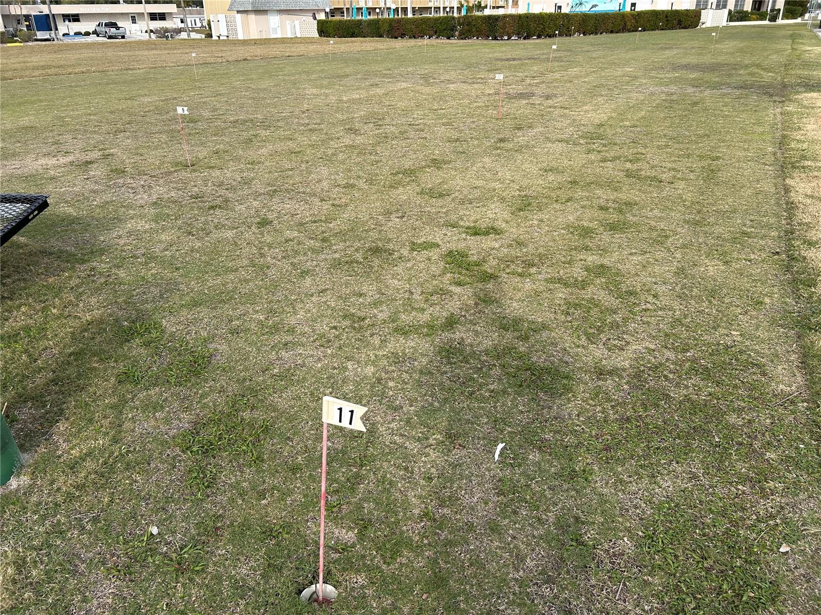 Photo #65