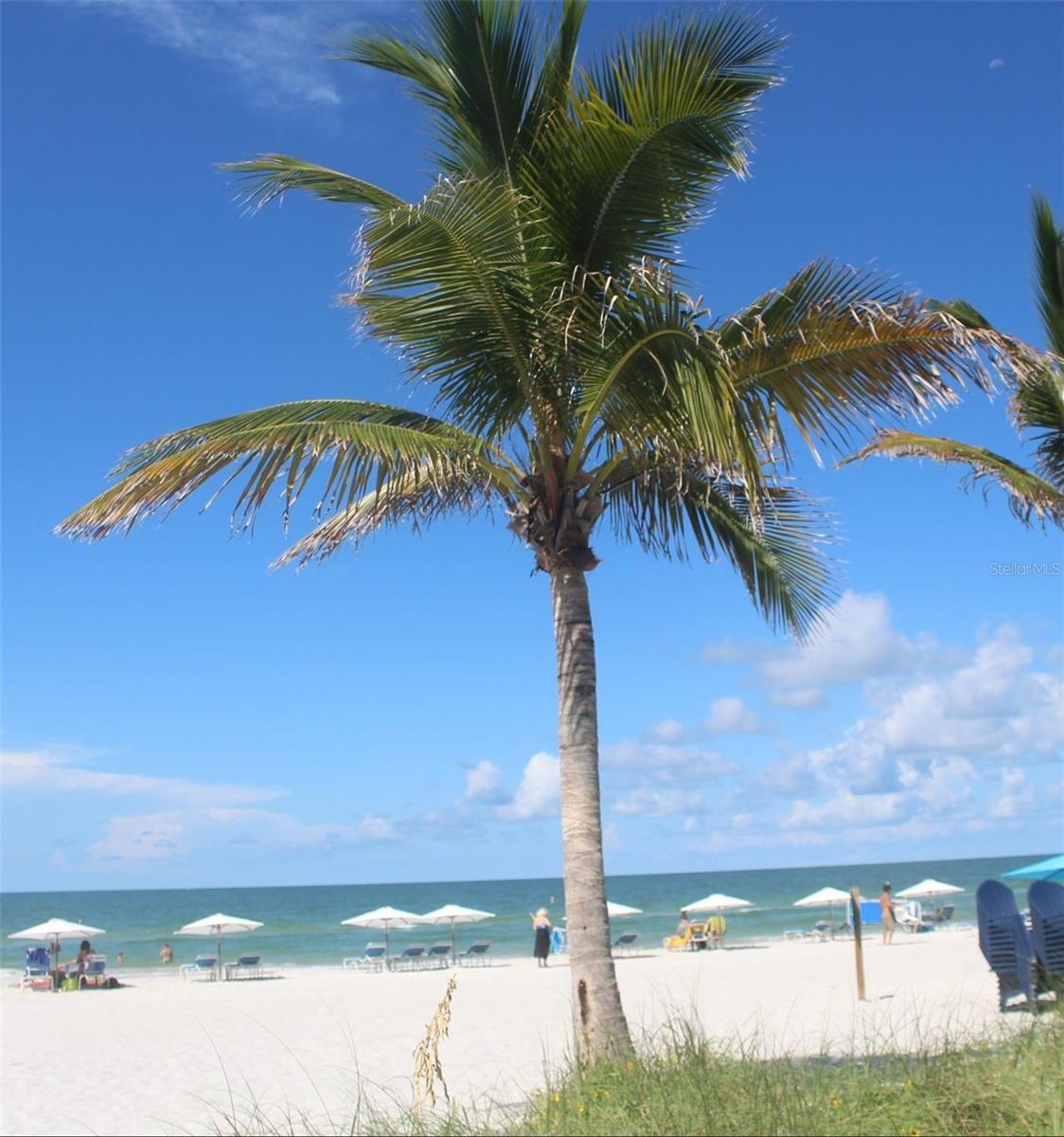 Photo #37