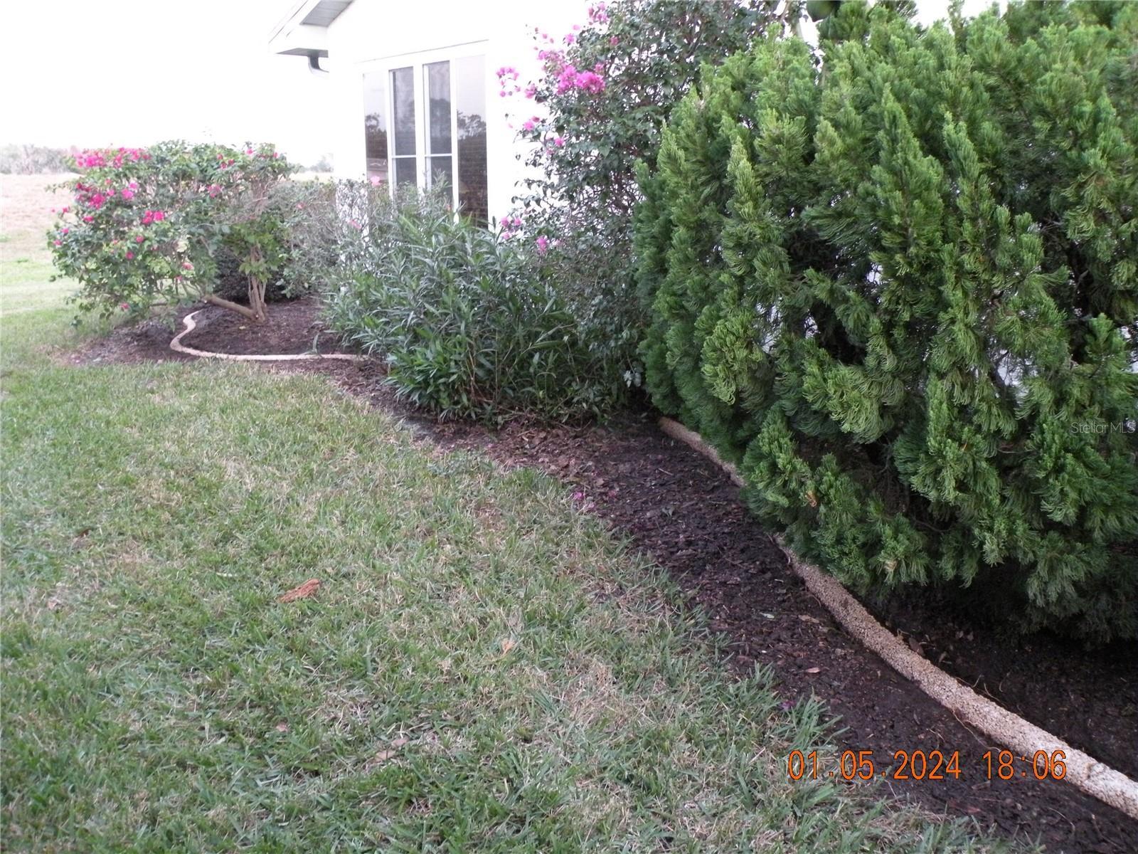 Photo #41