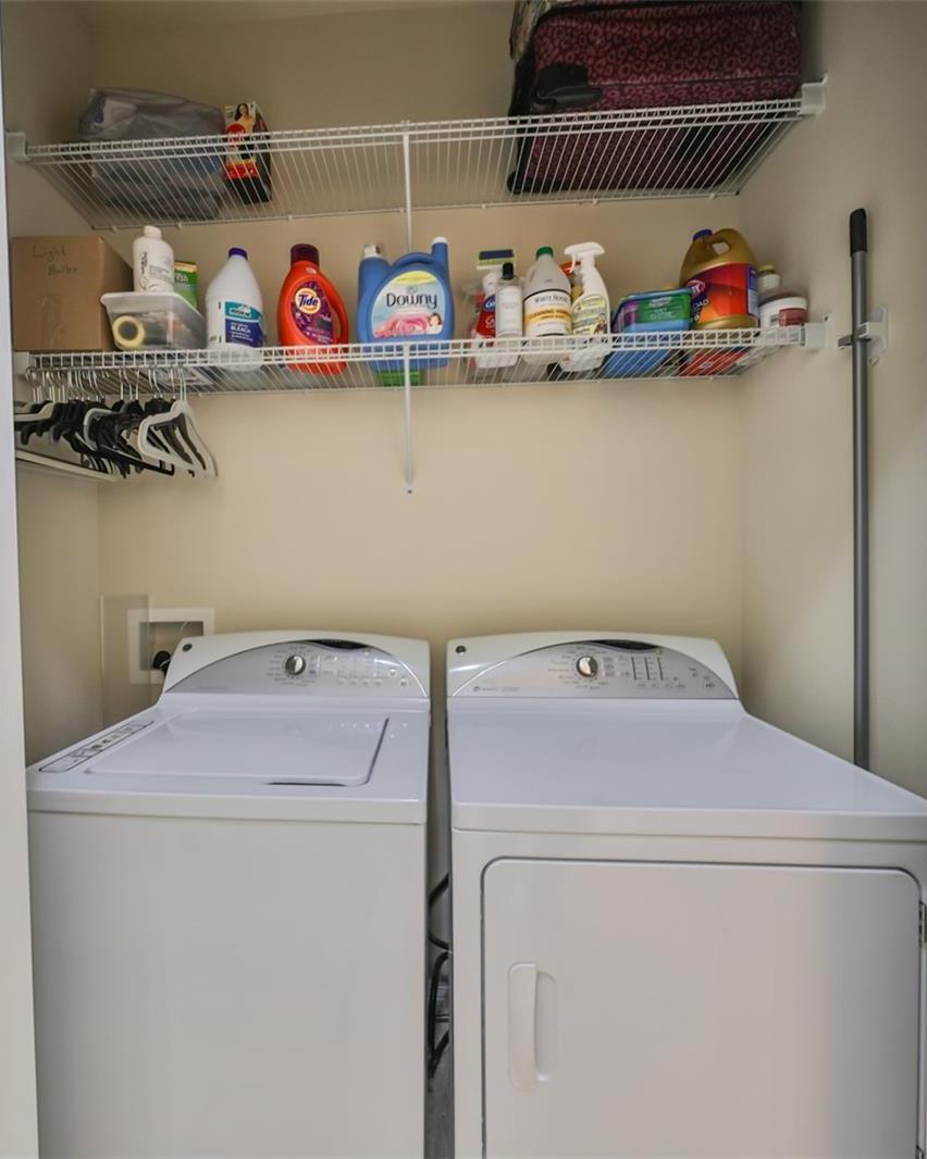 Photo #42