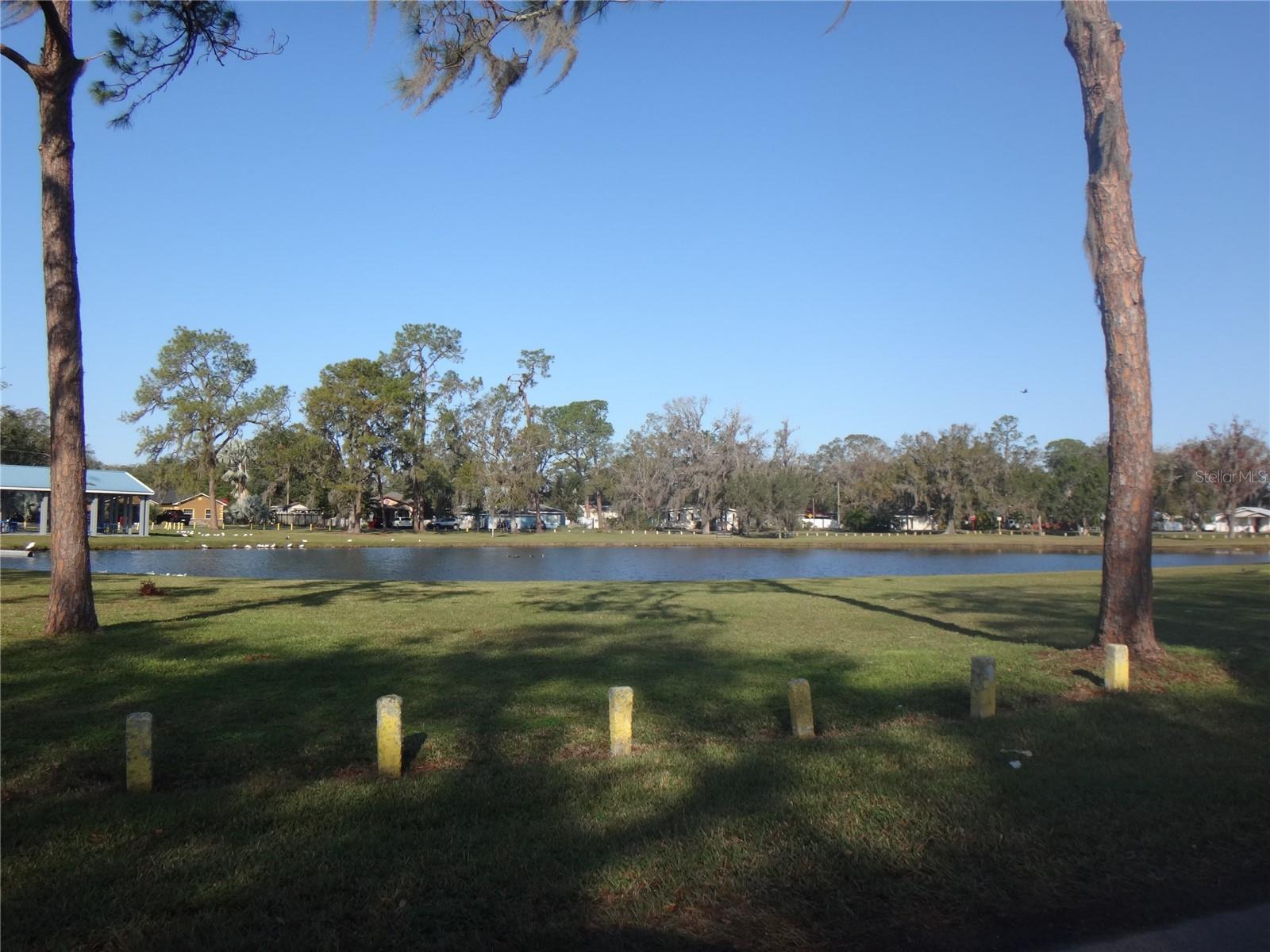 Photo #14
