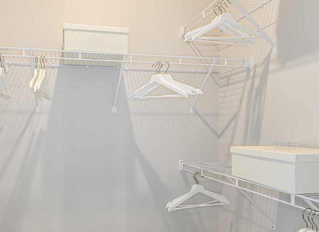 Photo #11