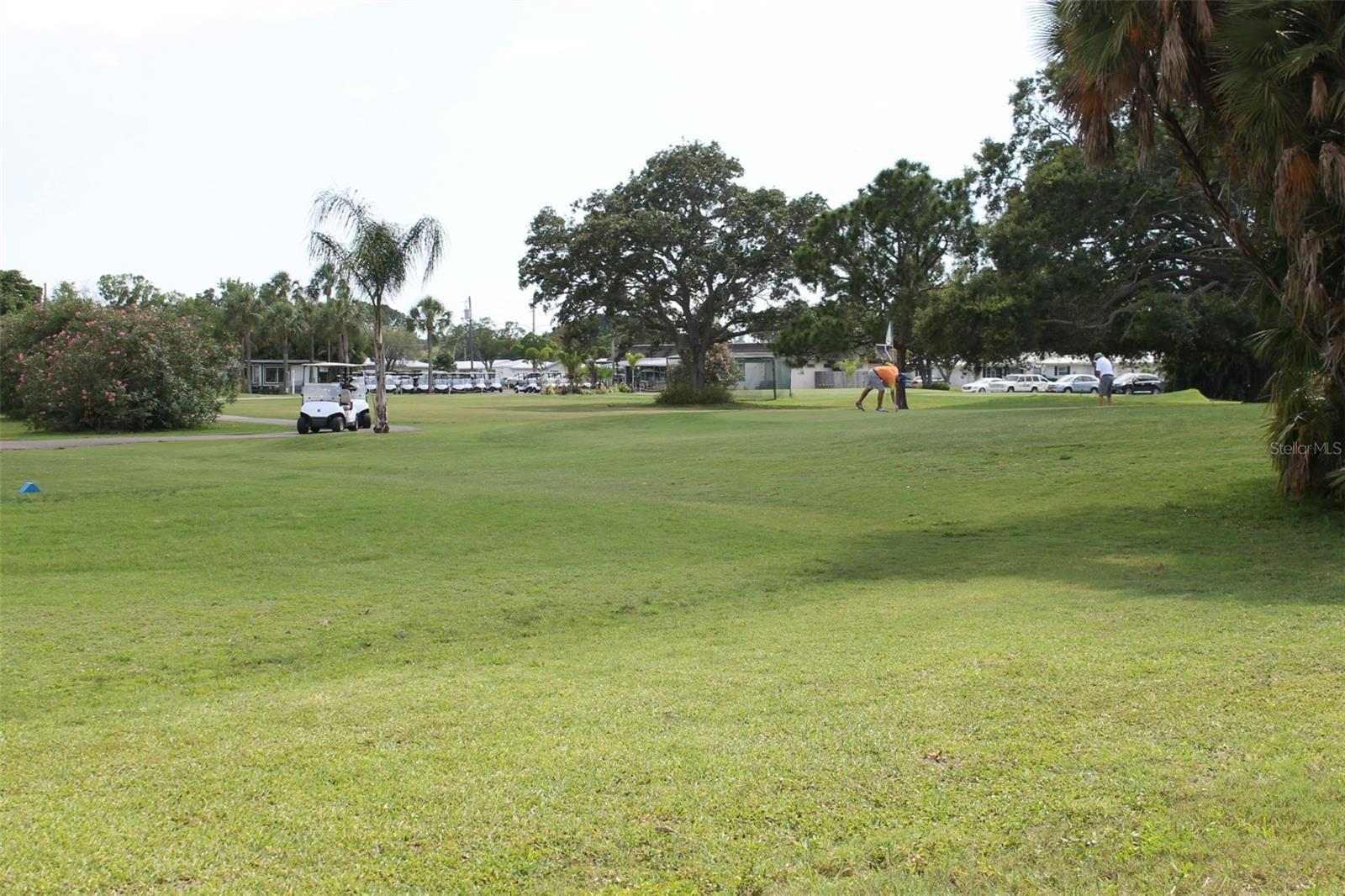 Photo #60