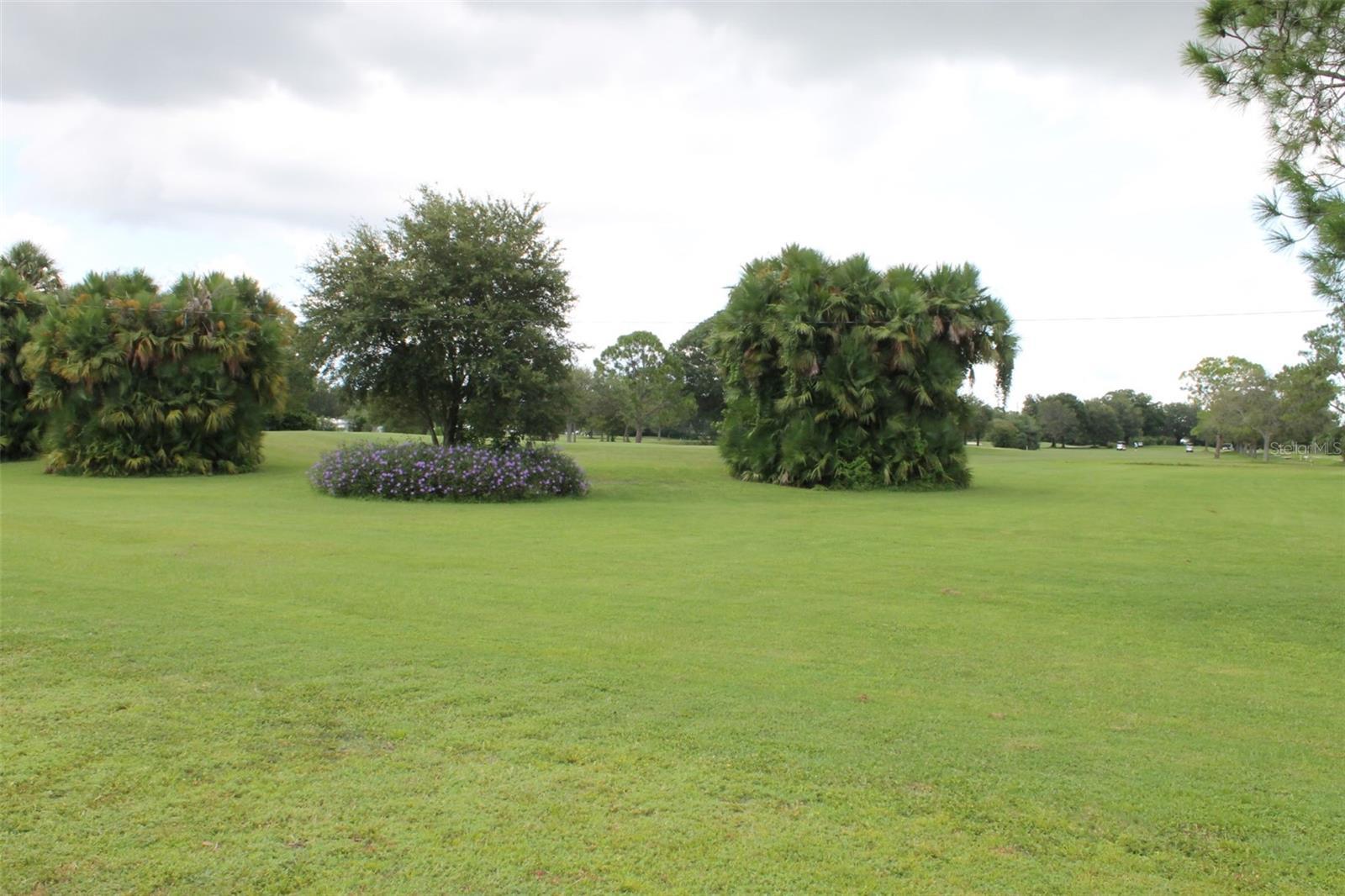 Photo #58