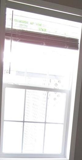 Photo #16