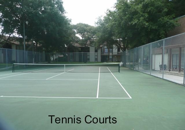 Photo #23