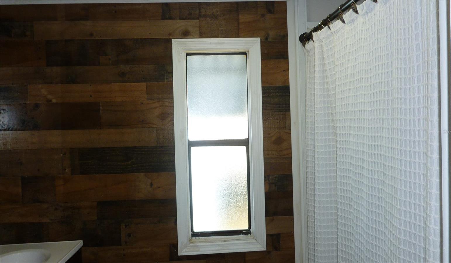 Photo #15
