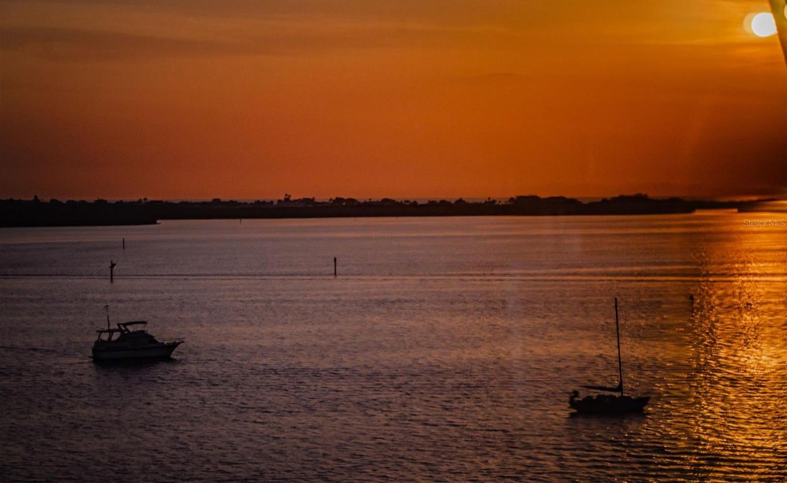Photo #64