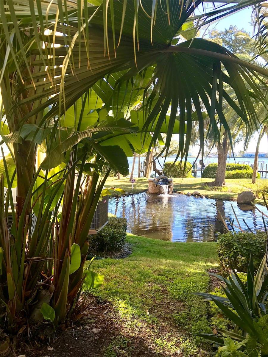Photo #37