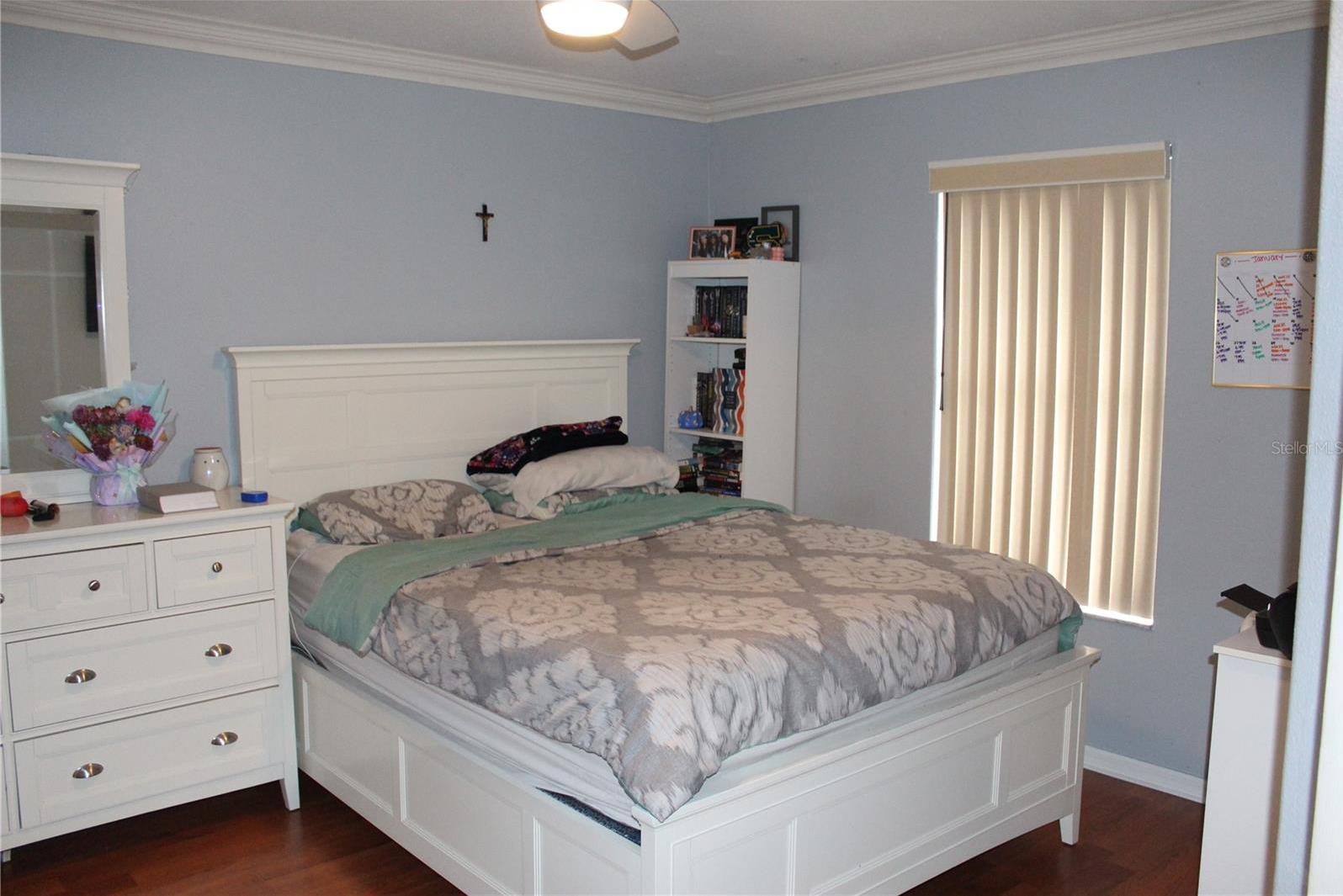 Photo #12