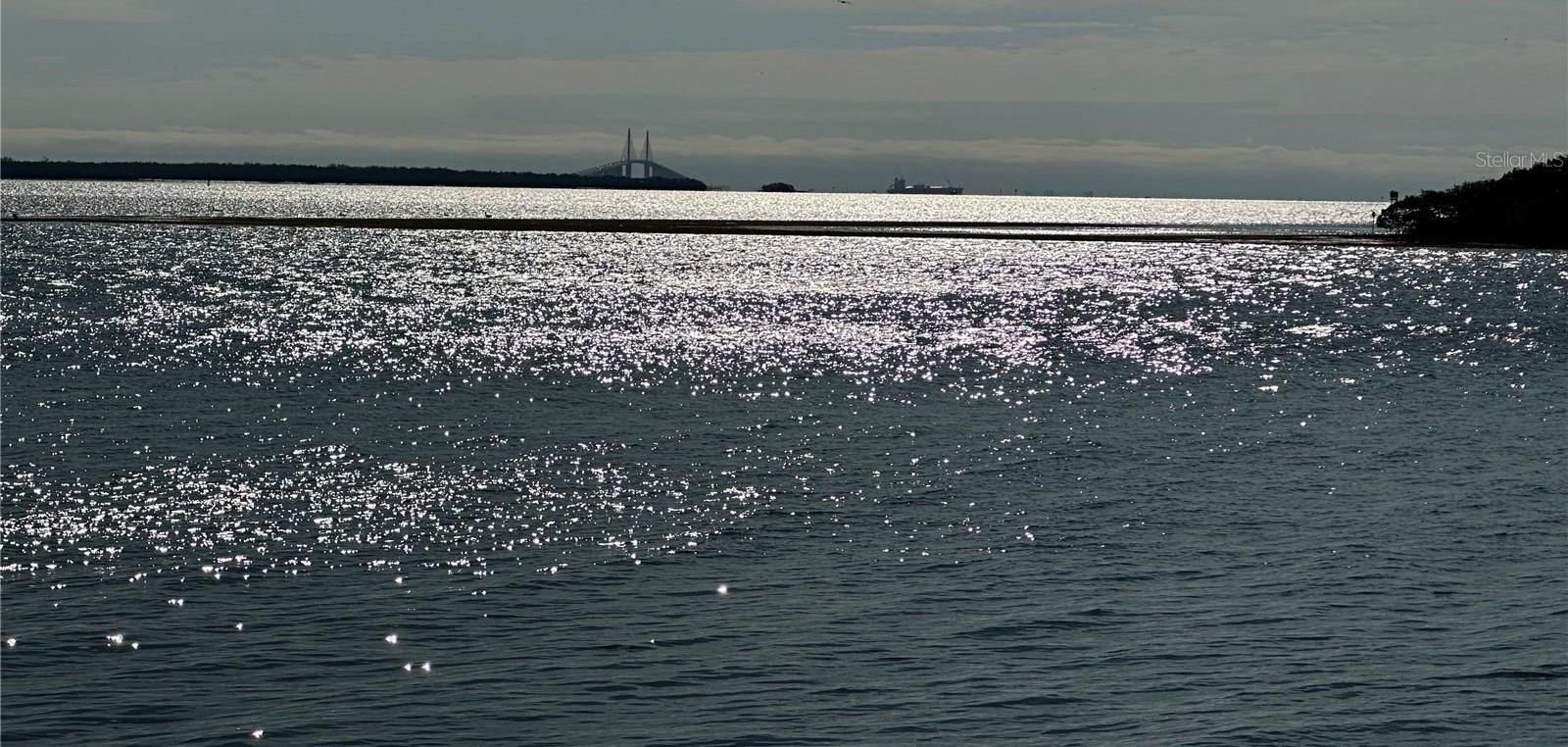 Photo #46