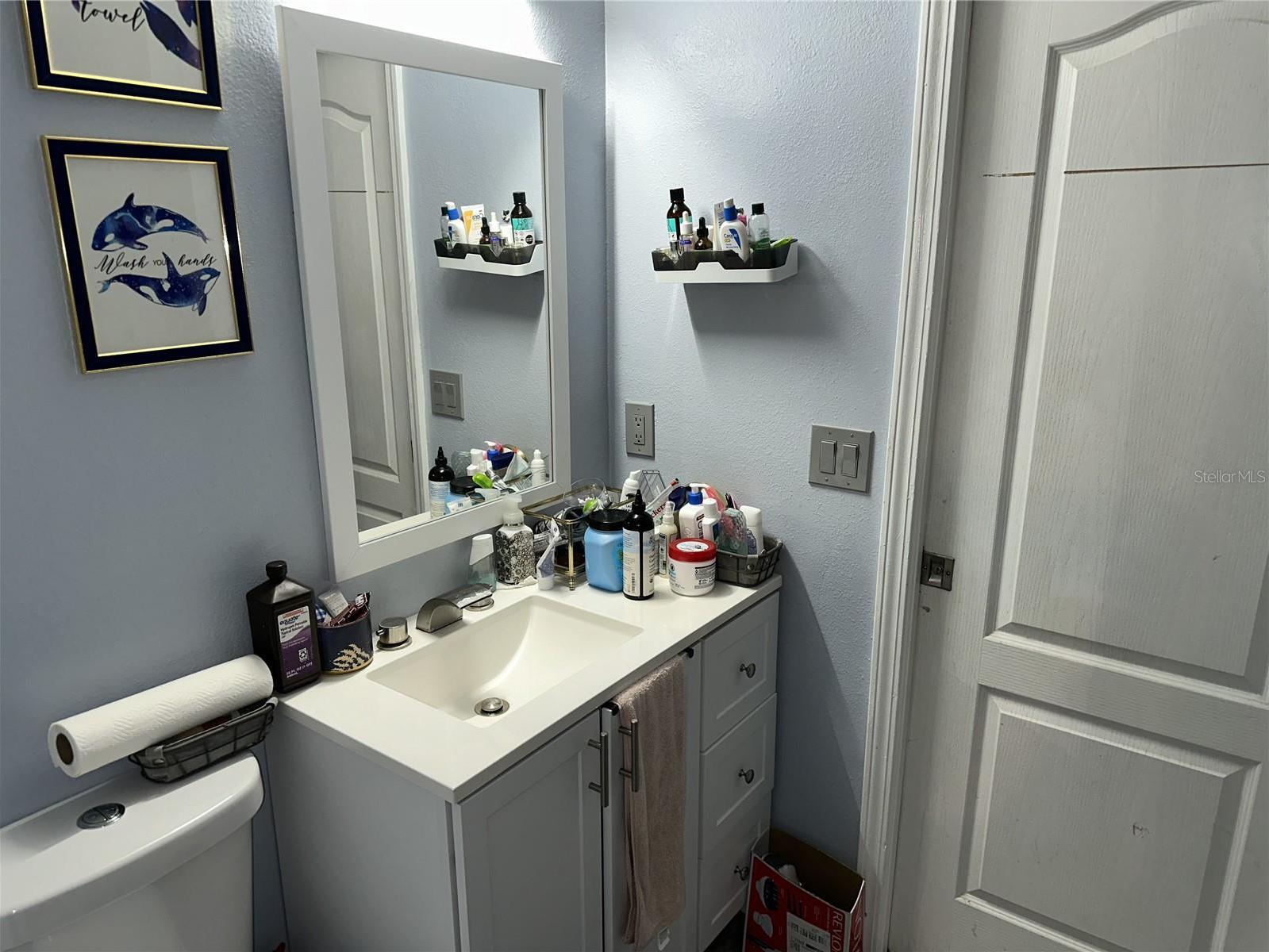Photo #12