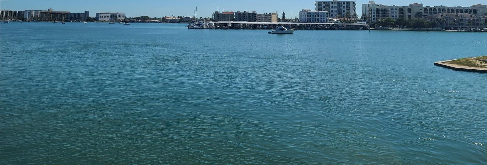 Photo #42