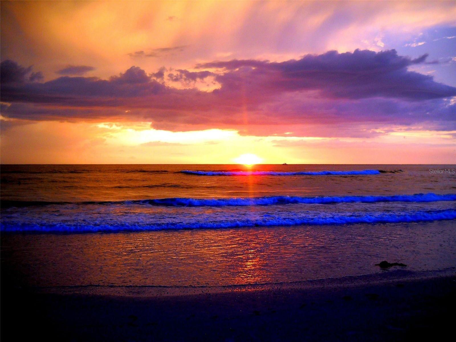 Photo #19