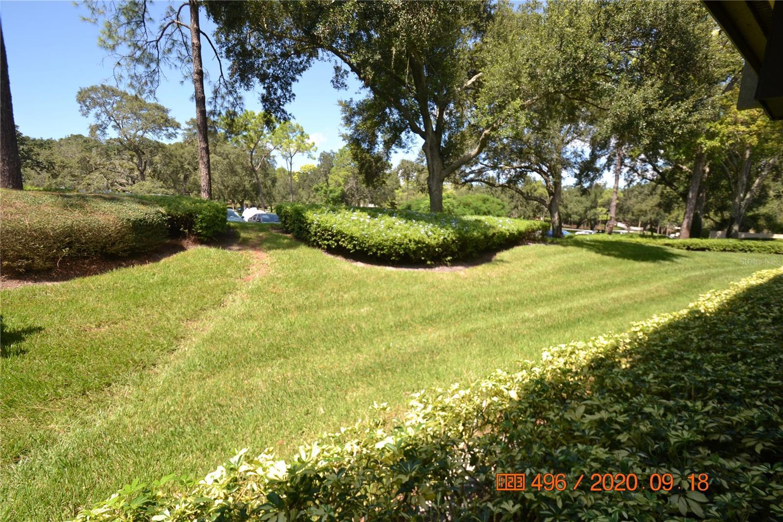 Photo #3