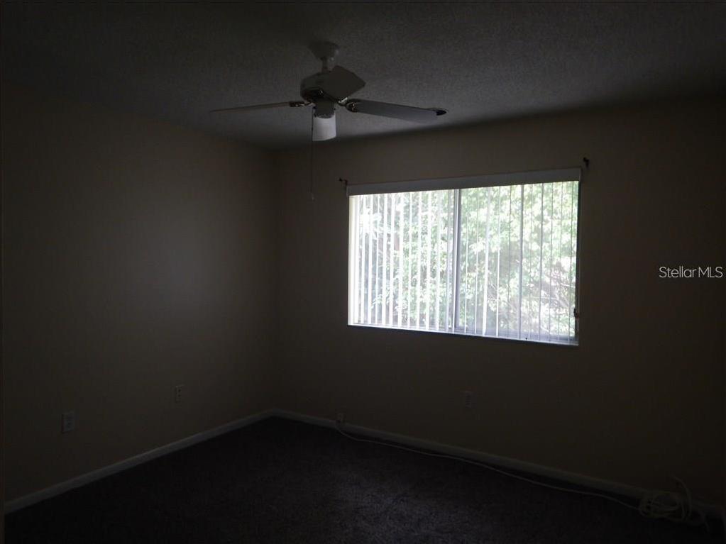 Photo #14