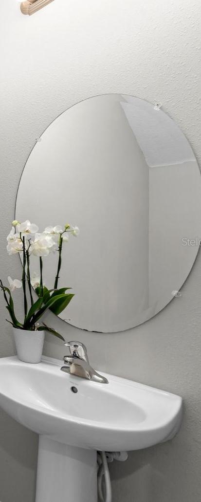 Photo #12