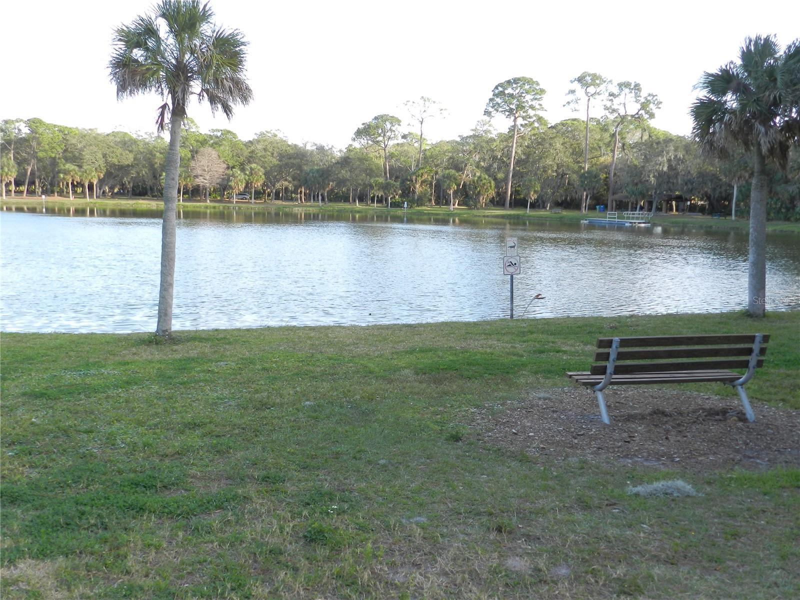 Photo #50