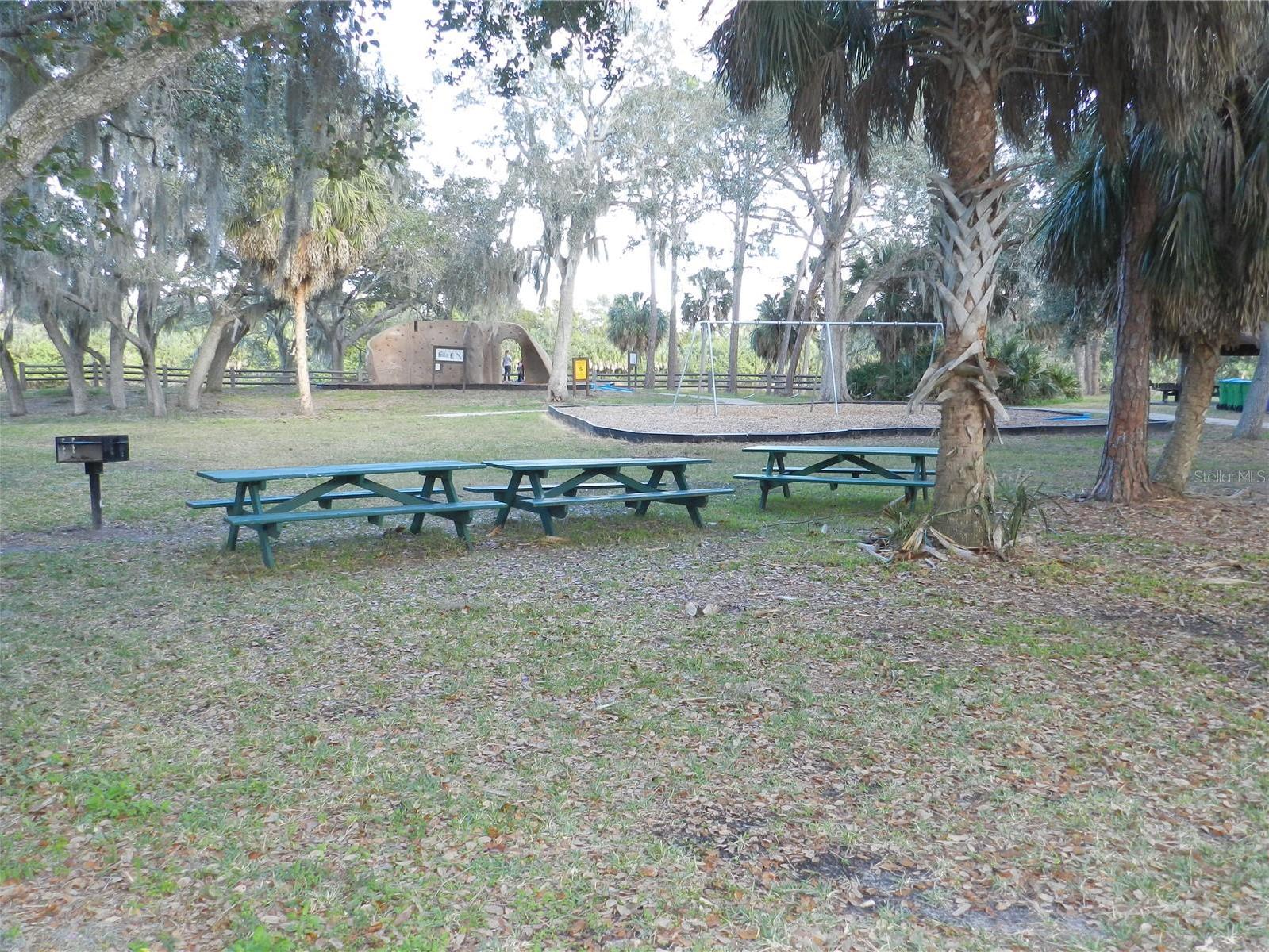 Photo #49