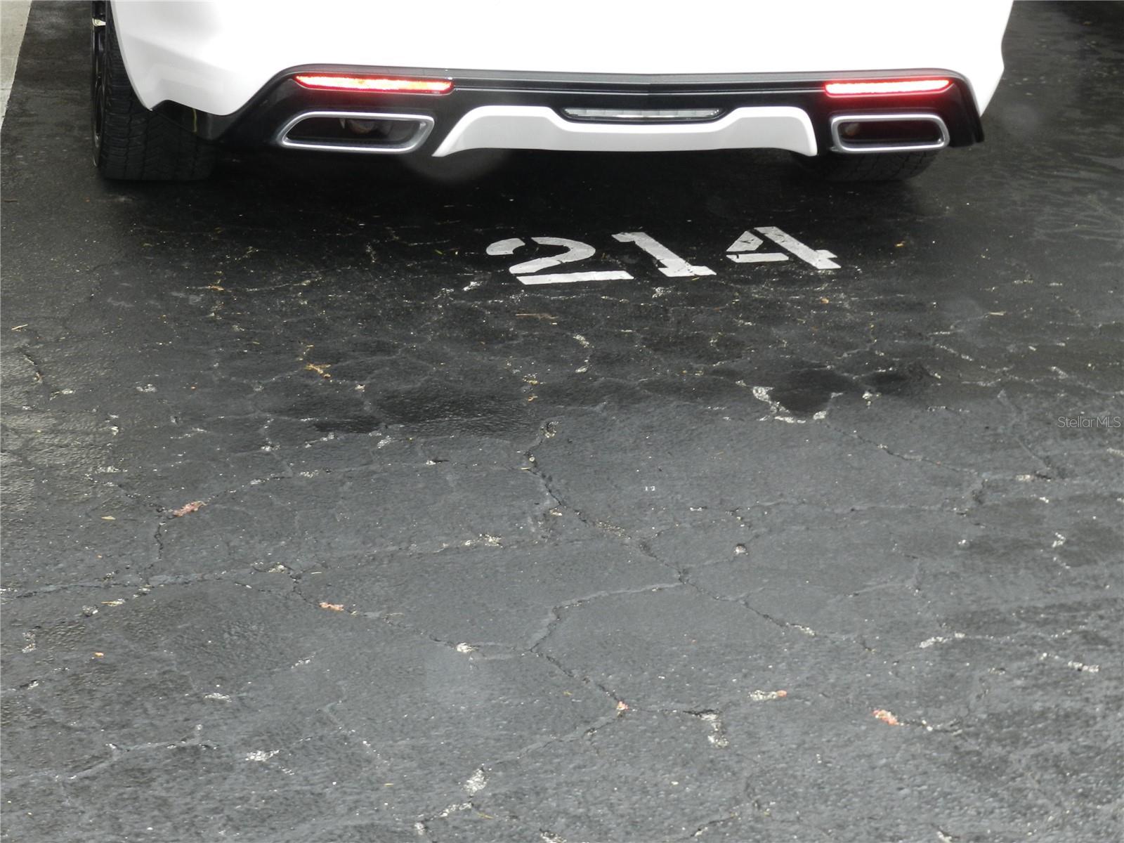 Photo #43