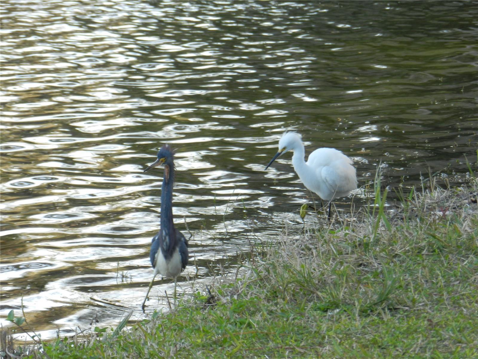 Photo #55