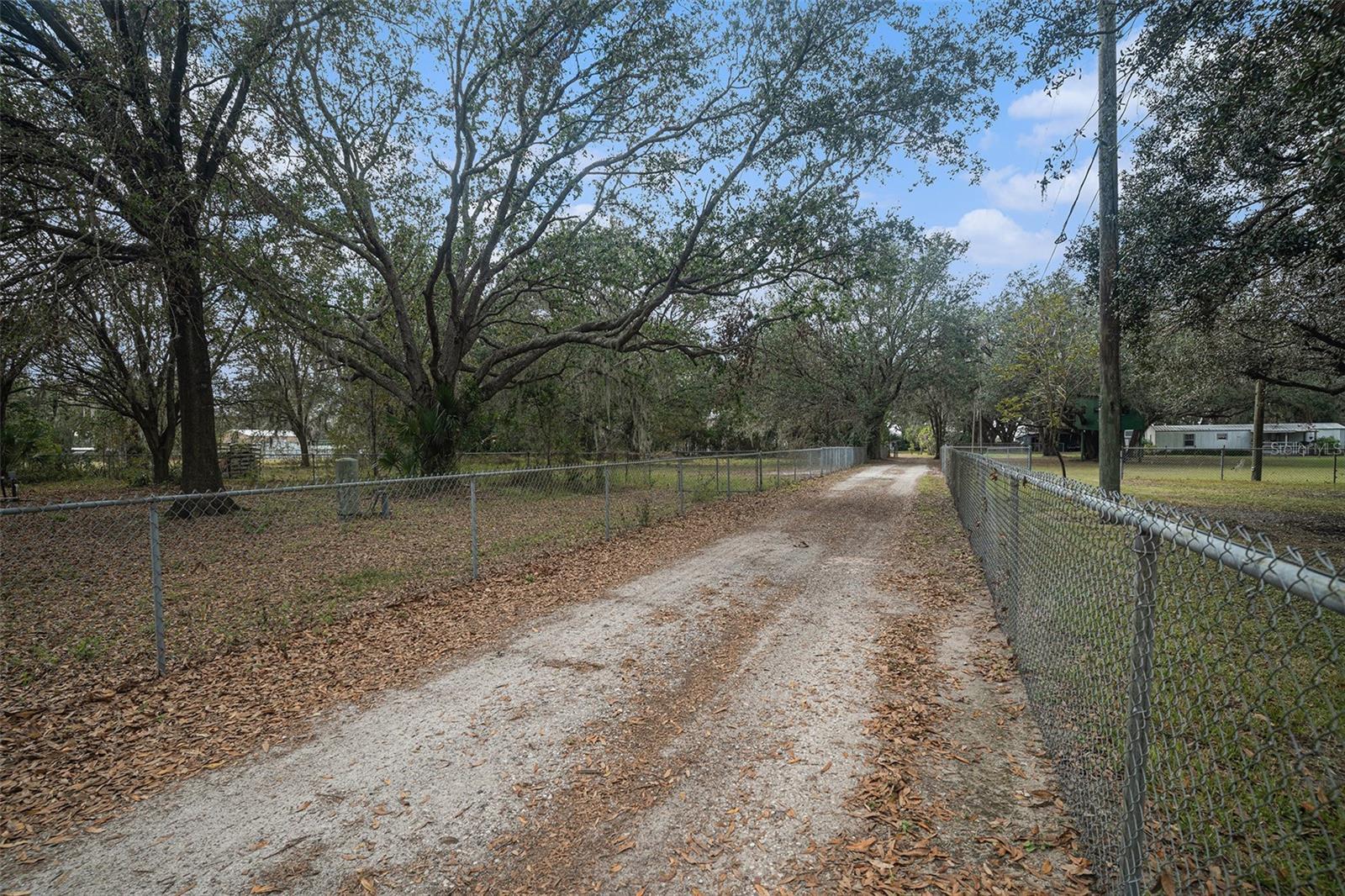 Photo #34