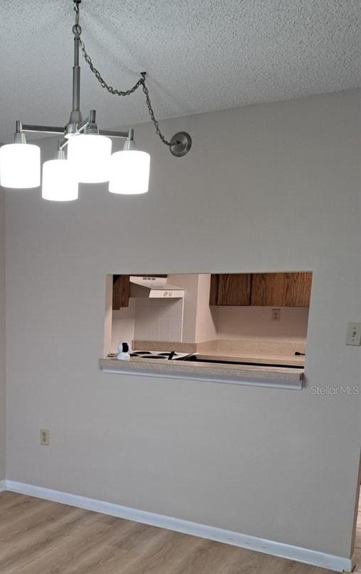 Photo #17