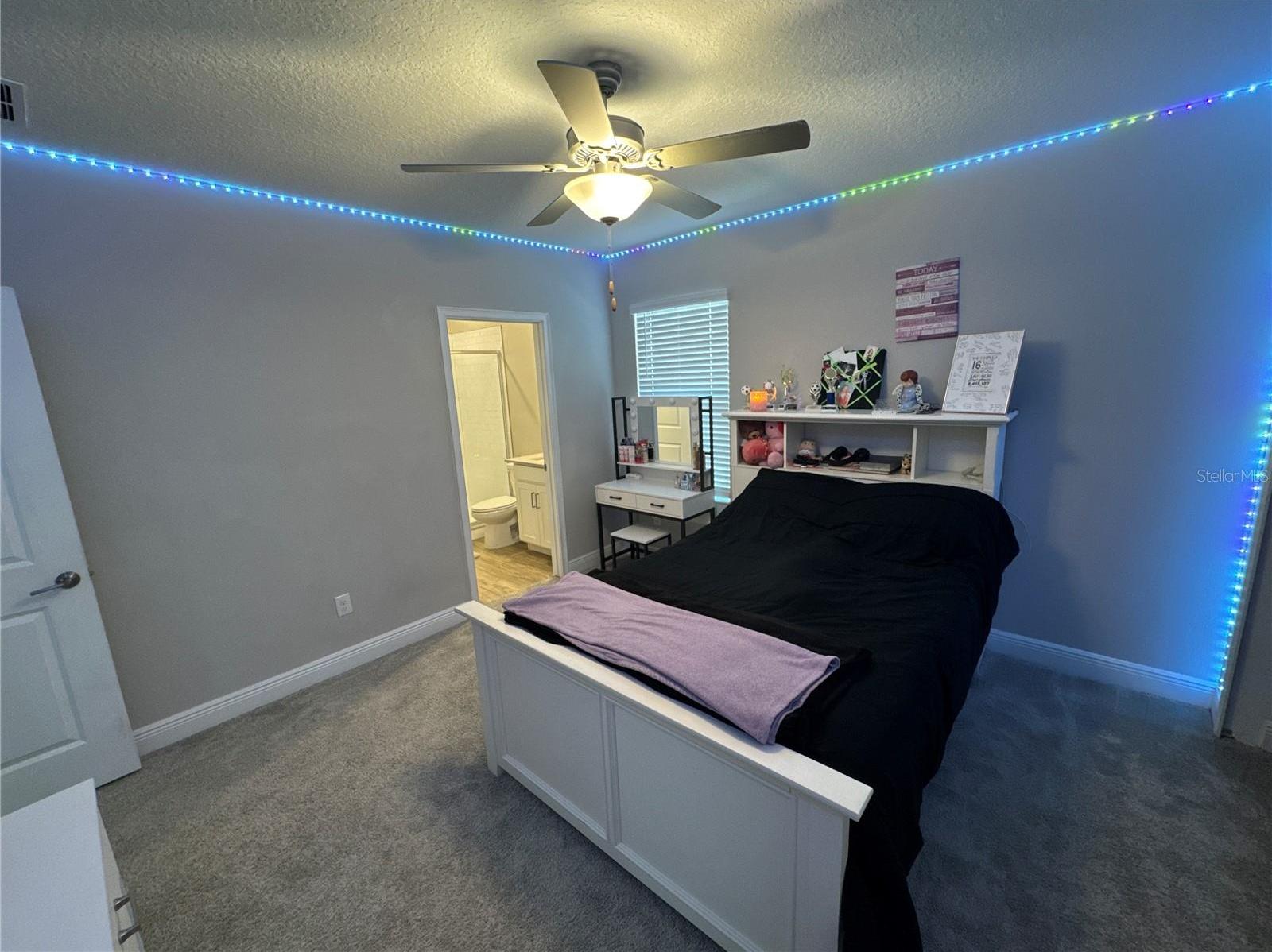 Photo #42