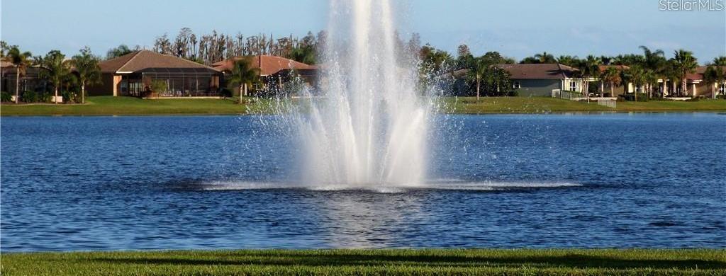 Photo #51