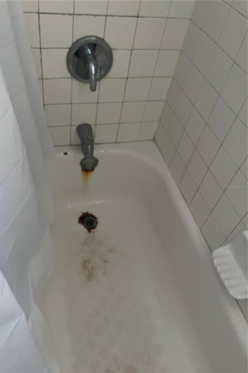 Photo #11