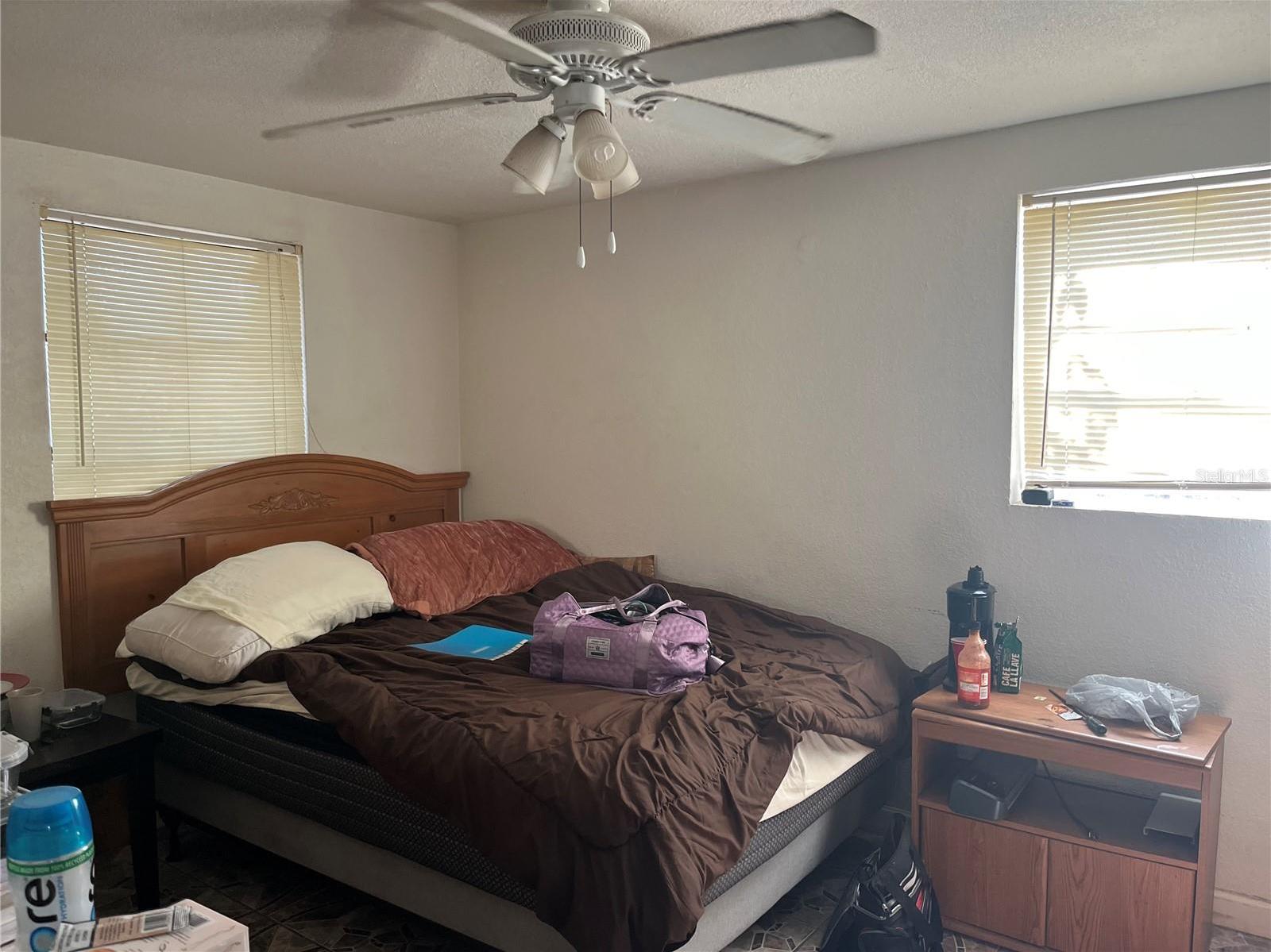Photo #15
