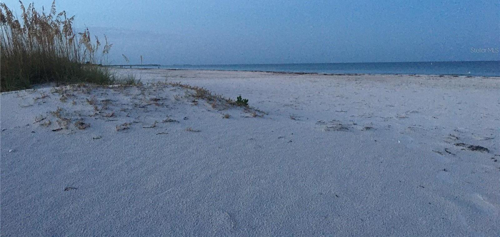 Photo #49