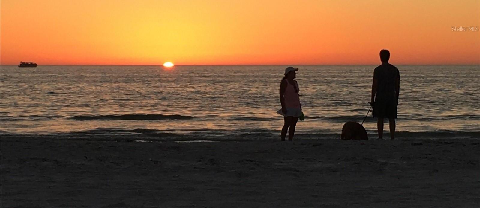 Photo #8
