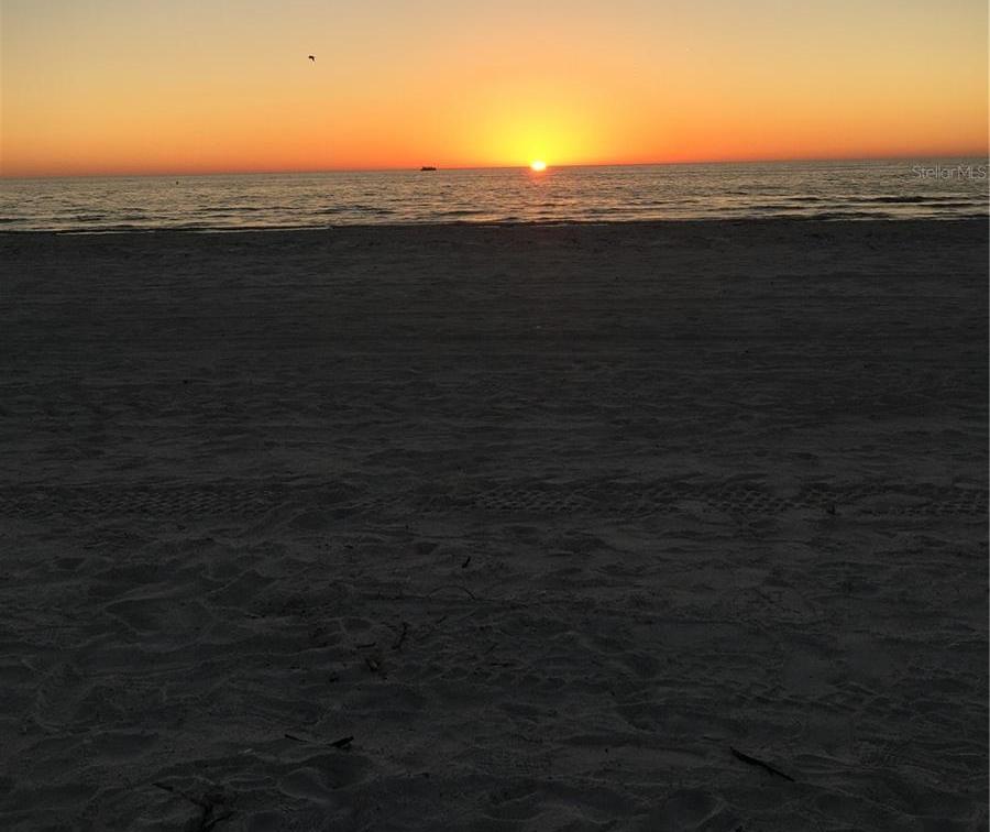 Photo #51