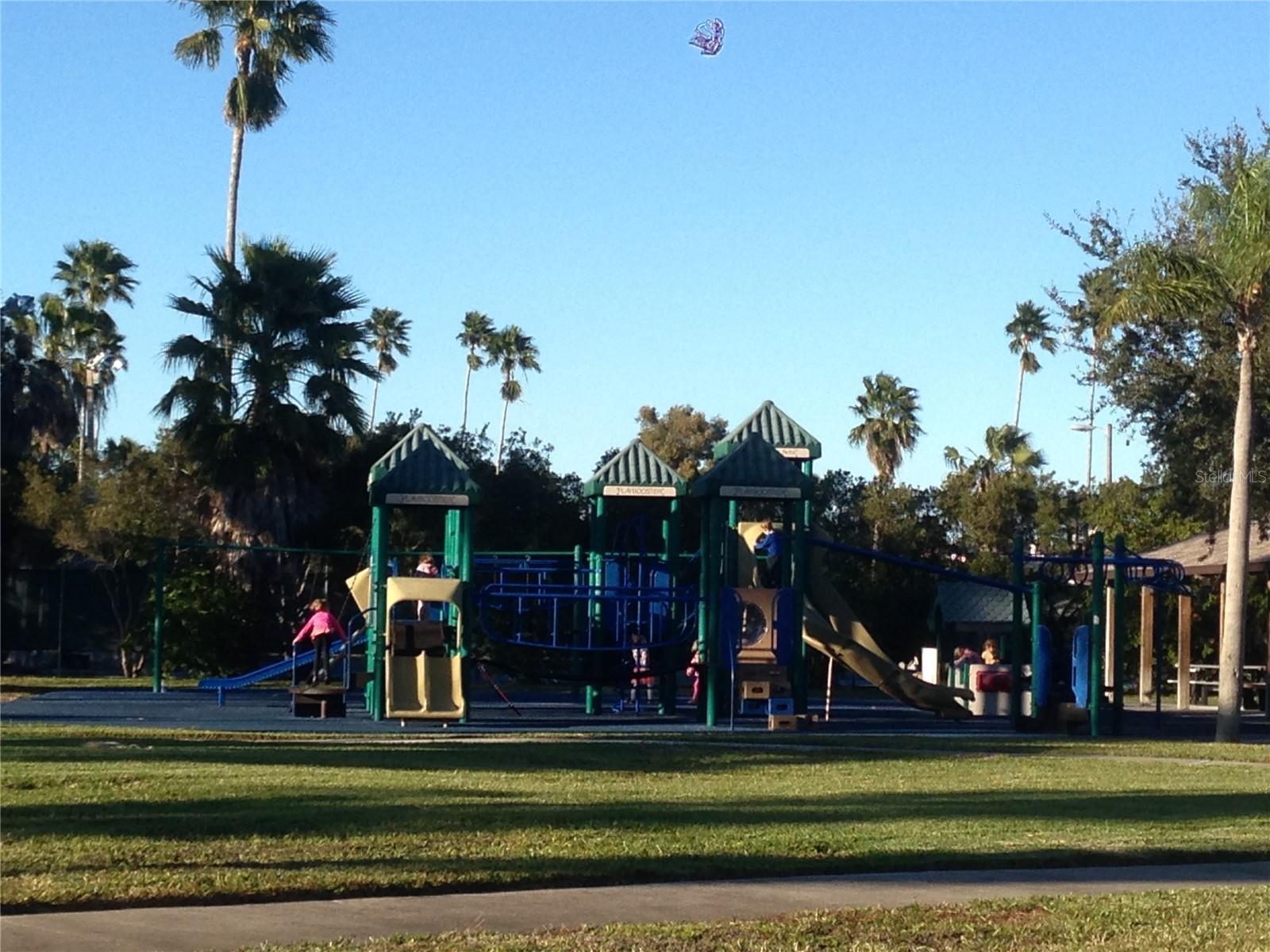 Photo #48