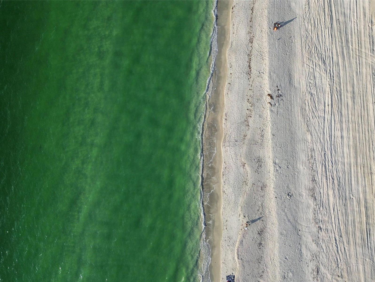 Photo #46