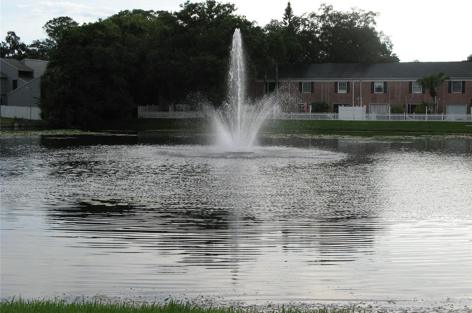Photo #14