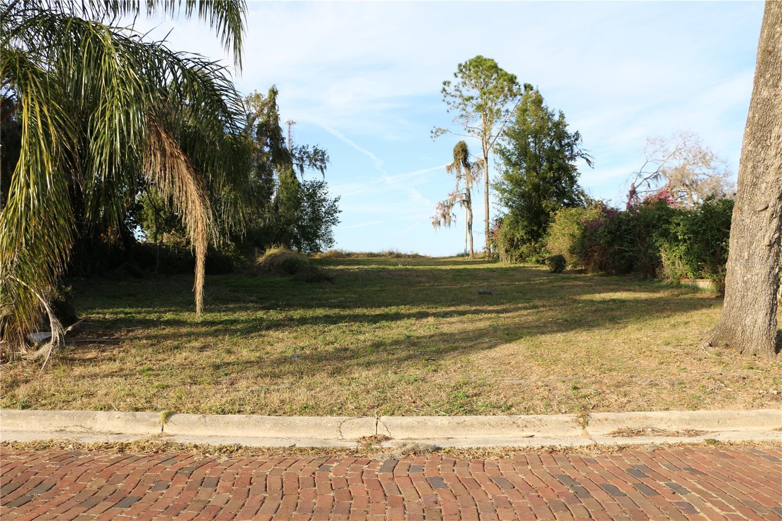 Photo #44