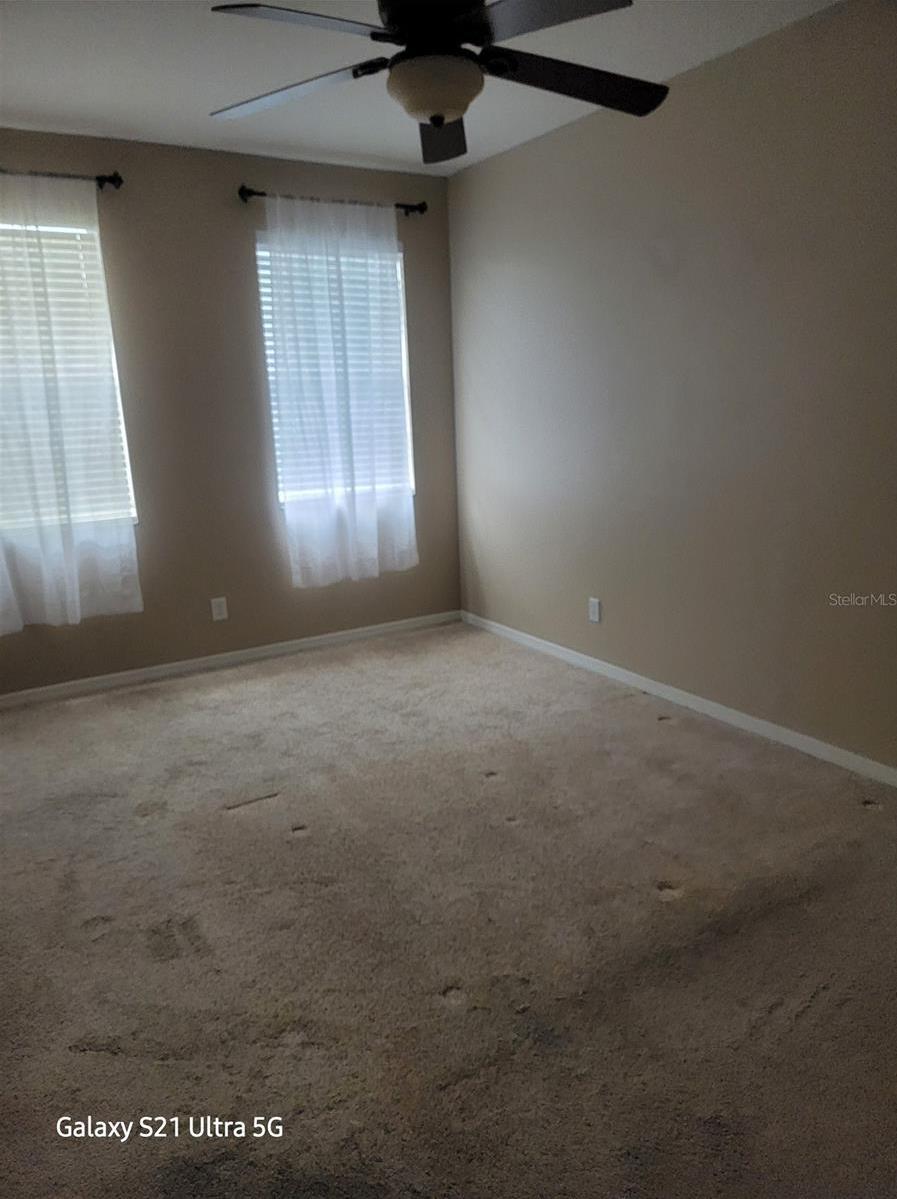 Photo #24
