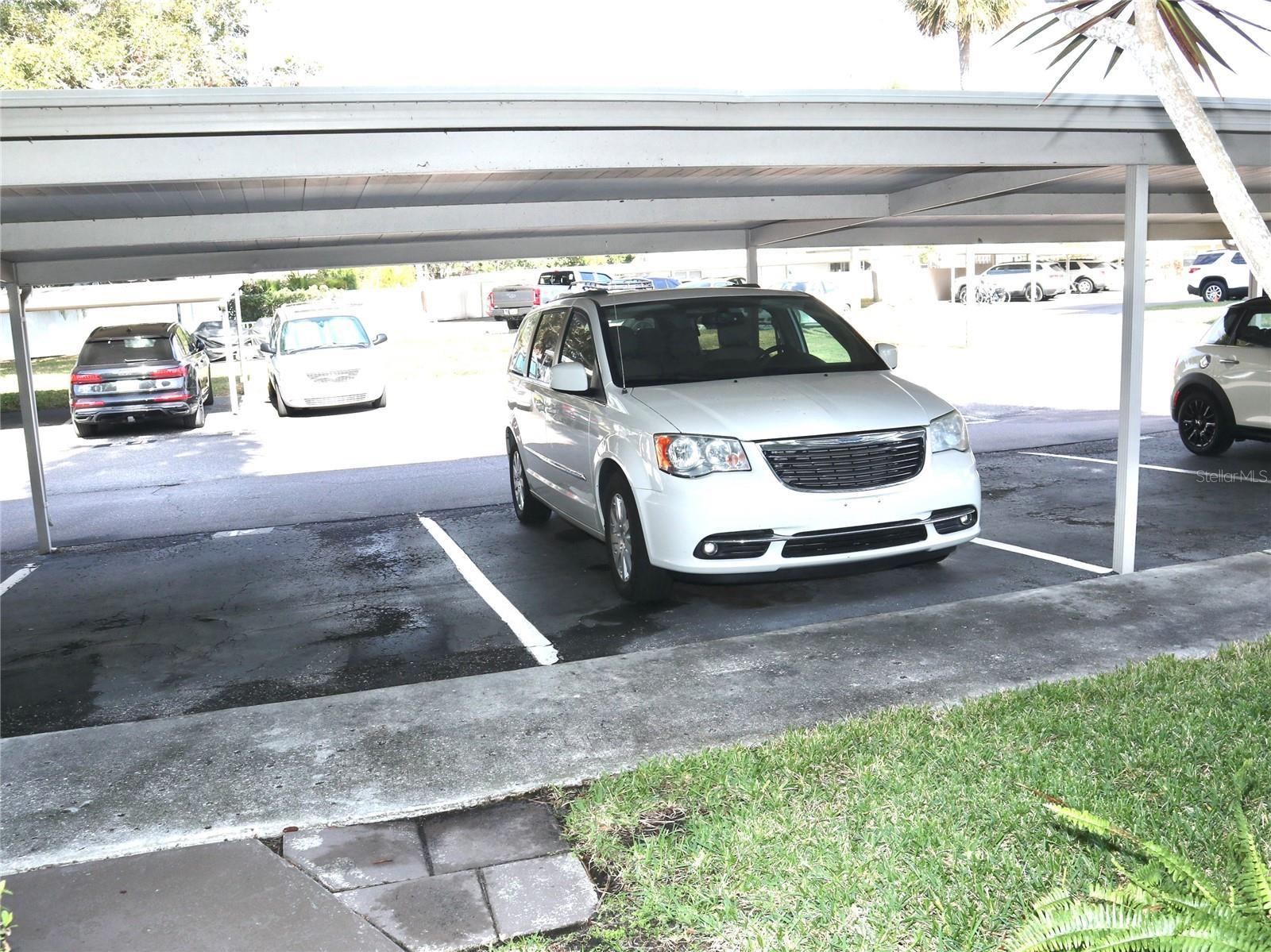 Photo #33