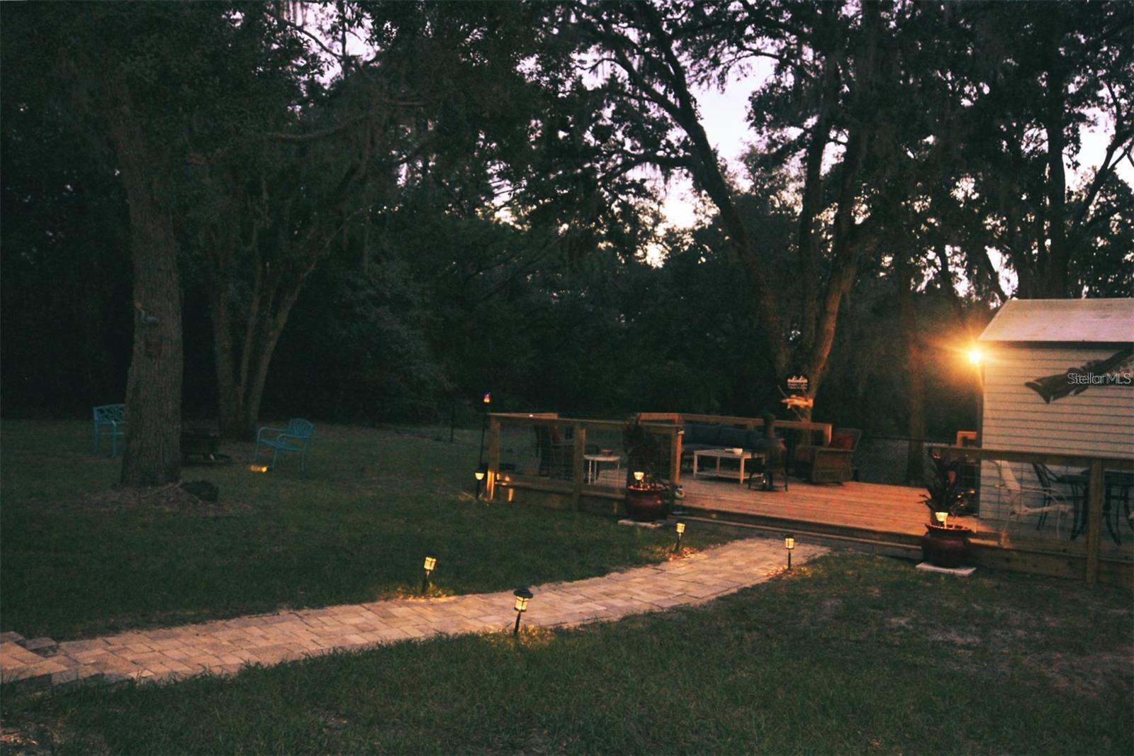 Photo #14