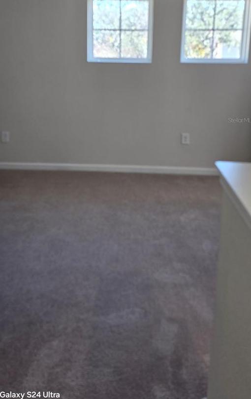 Photo #22