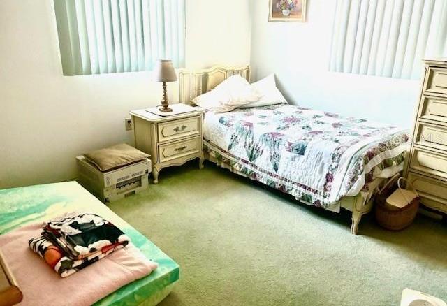 Photo #12