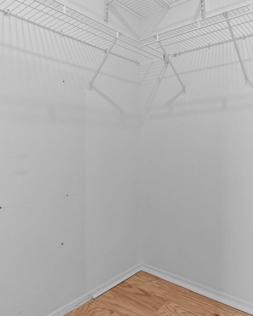 Photo #24