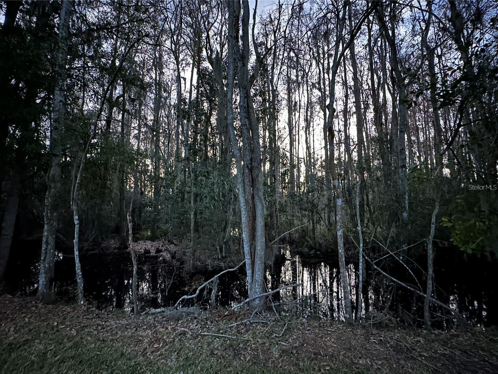 Photo #40