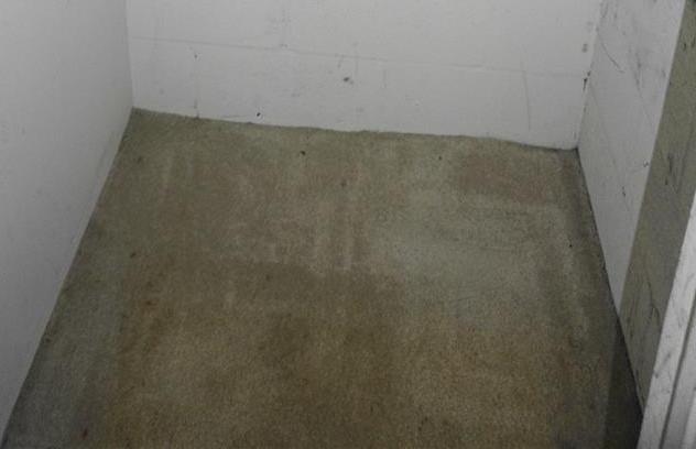 Photo #65